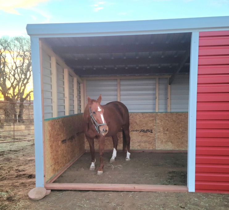 Loafing Shed 12 ft x 24 ft with Center Front Wall